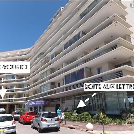 Appart Face A La Mer Les Pieds Dans L'Eau Canet-en-Roussillon Eksteriør bilde