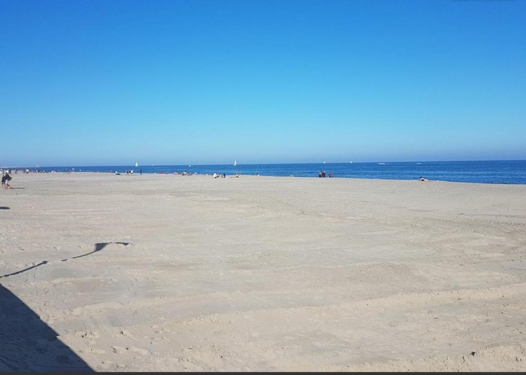 Appart Face A La Mer Les Pieds Dans L'Eau Canet-en-Roussillon Eksteriør bilde